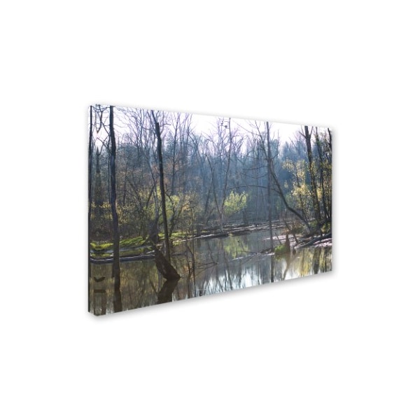 Kurt Shaffer 'Springtime In The Wetlands' Canvas Art,12x19
